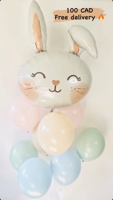 Blue Bunny Set
