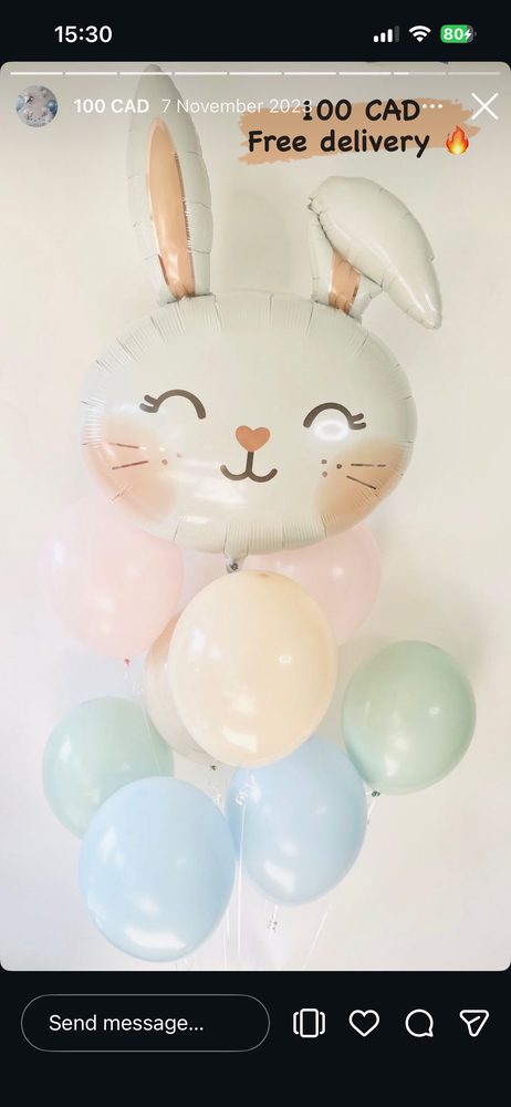 Pink Bunny Set