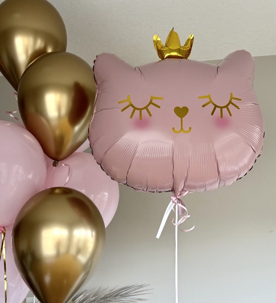 Pink Cat & Crown Set